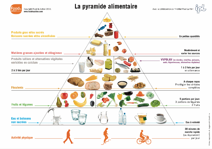 Pyramide alimentaire